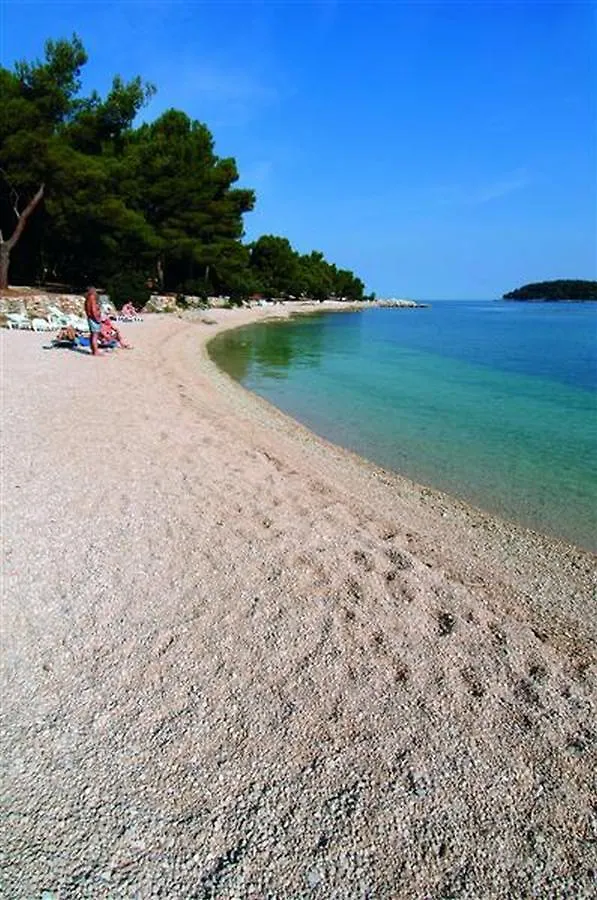 Holiday home Stone House Olio Villa Rovinjsko Selo